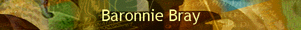 Baronnie Bray