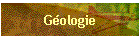 Gologie