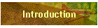 Introduction